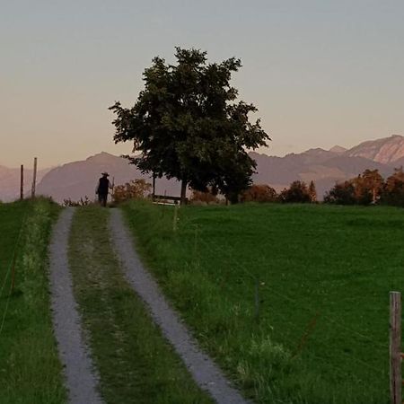 Like Home Ruti  Dış mekan fotoğraf